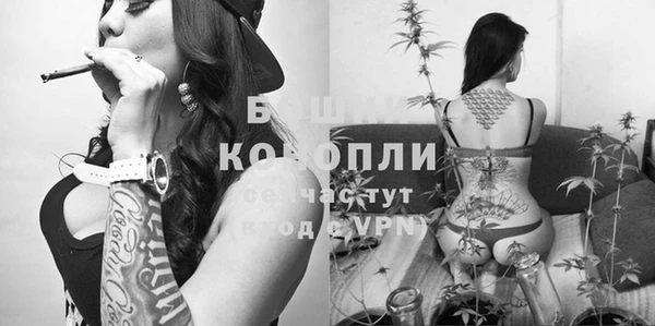 ГАЛЛЮЦИНОГЕННЫЕ ГРИБЫ Беломорск
