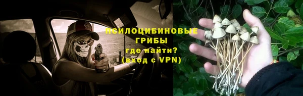 каннабис Белокуриха